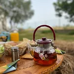 Villa Shkodra *