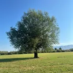 Shkodra Villa Omaraj