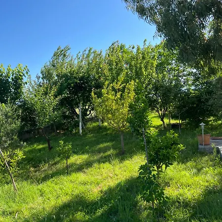 Villa Shkodra Omaraj