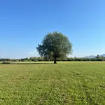 Shkodra Villa Omaraj