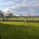 Shkodra Omaraj