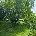 Shkodra Villa *