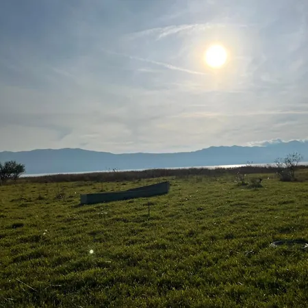 Shkodra Vila *