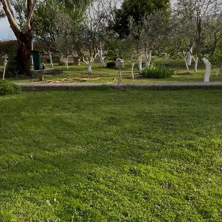 Shkodra Vila *