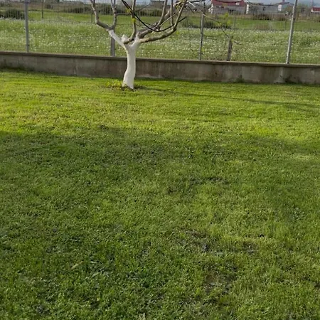 Vila Shkodra Omaraj