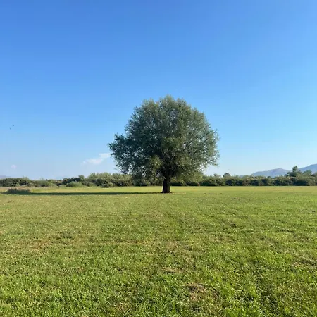 Shkodra Vila Omaraj