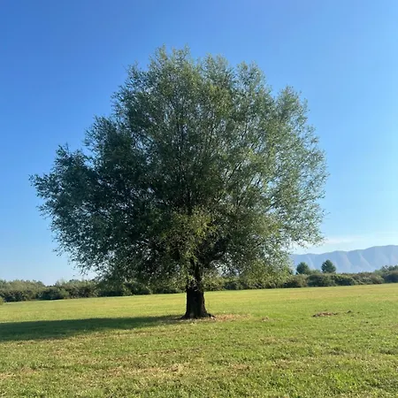 Shkodra Vila Omaraj