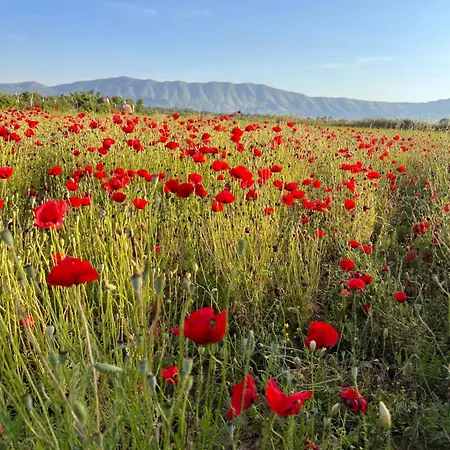 Shkodra