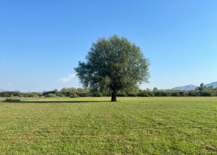 Shkodra Villa Omaraj