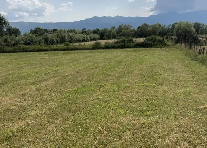 Shkodra * Omaraj