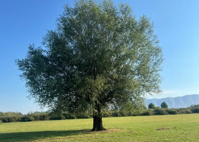 Shkodra 别墅 Omaraj