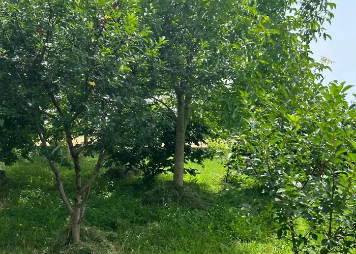 Shkodra 别墅 *
